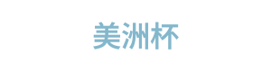 美洲杯 Logo